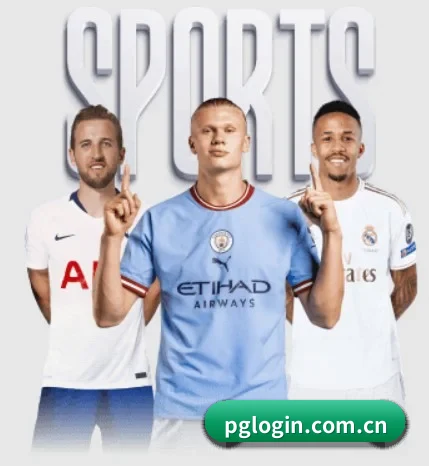 五大服务分区,信息按项目分类(pg)