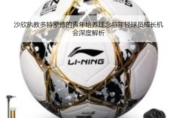 沙欣执教多特蒙德的青年培养理念与年轻球员成长机会深度解析（pg）