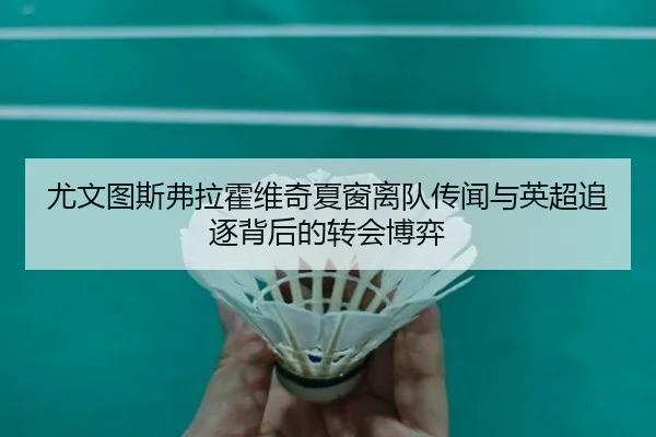 尤文图斯弗拉霍维奇夏窗离队传闻与英超追逐背后的转会博弈 | pg