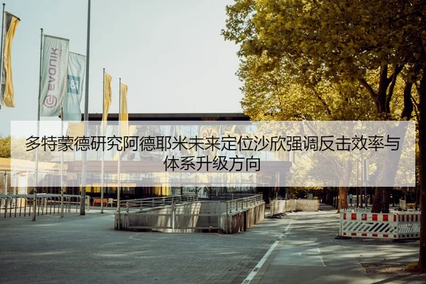 多特蒙德研究阿德耶米未来定位沙欣强调反击效率与体系升级方向（pg）